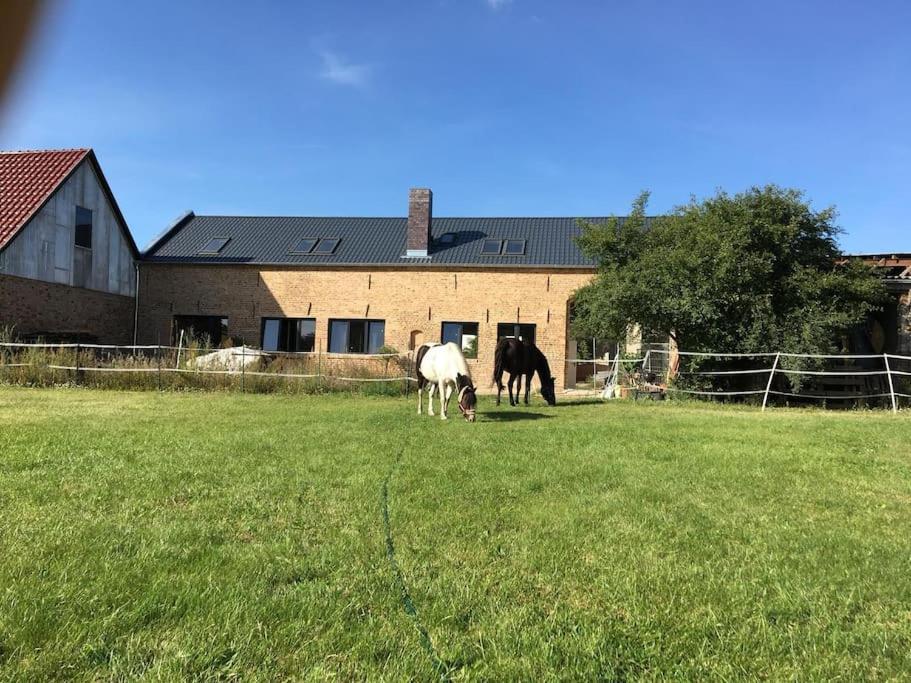 Ferienwohnung Zossen Gaestehaus 외부 사진